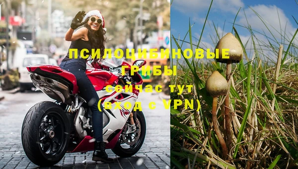 таблы Новозыбков