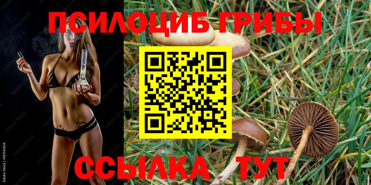 Ахтубинск  Галлюциногенные грибы ЛСД  Вход с VPN  Галлюциногенные грибы мицелий 