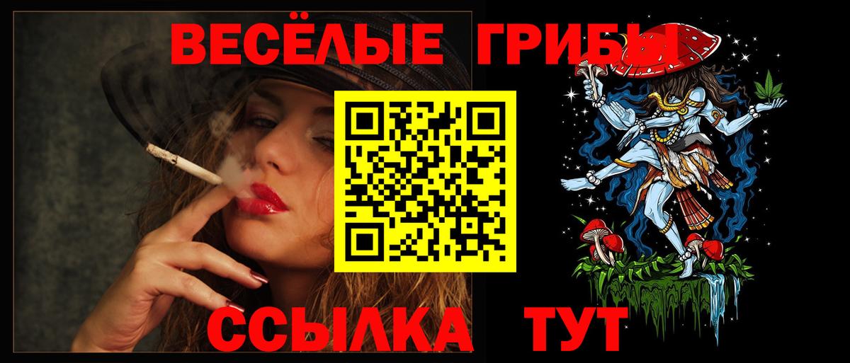 Псилоцибиновые грибы прущие грибы  Ахтубинск 